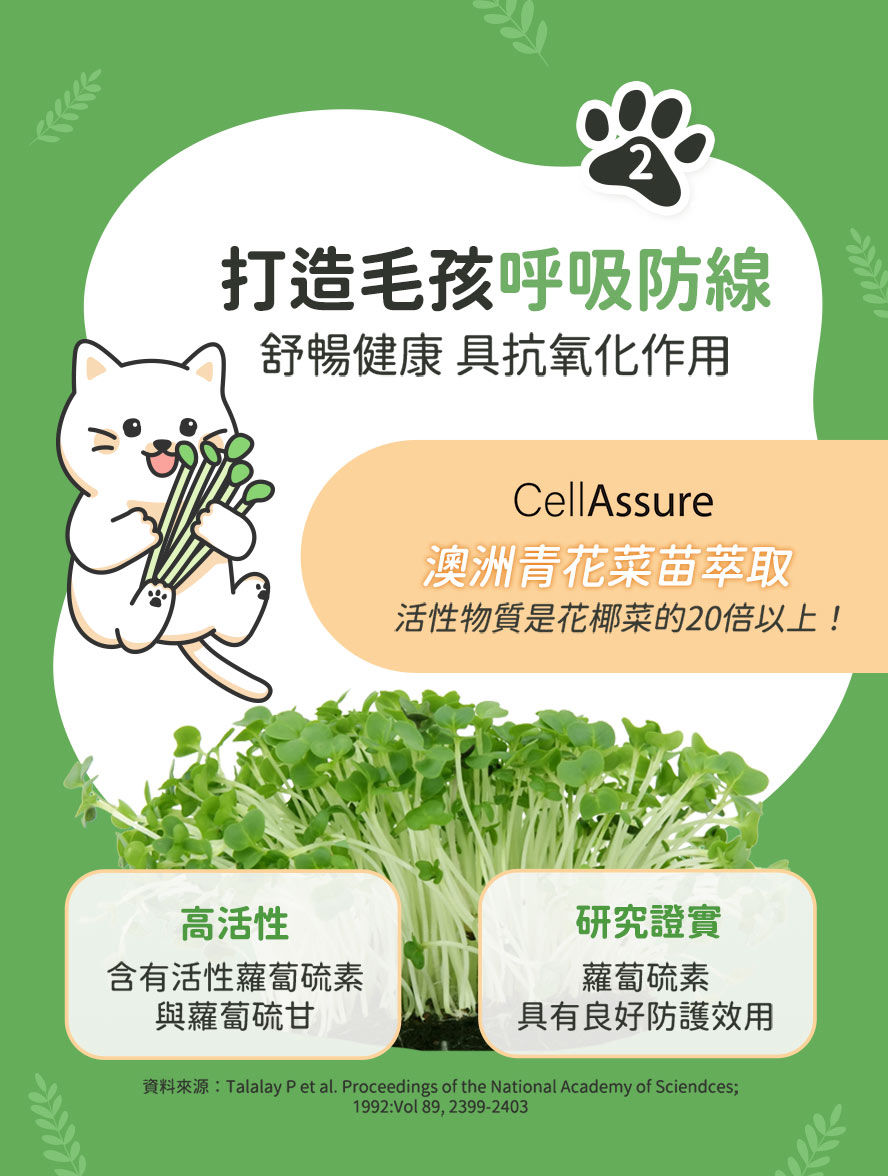 青花菜苗萃取物，活性蘿蔔硫素，具抗氧化作用，維持保護力。